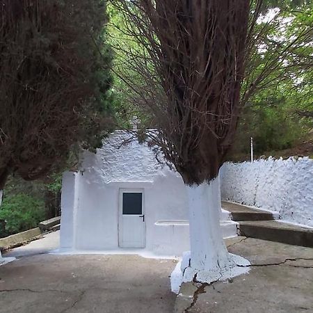 Traditional House In Asfendiou Agios Dimitrios  Esterno foto